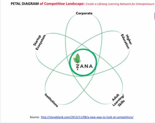 How to Do a Competitor Analysis Pitch Deck—Steve Blank petal diagram example showing competitive landscape